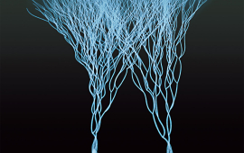 Atoms in an optical lattice perform a "quantum walk" where they experience many different quantum phenomena, such as superposition or tunneling. 